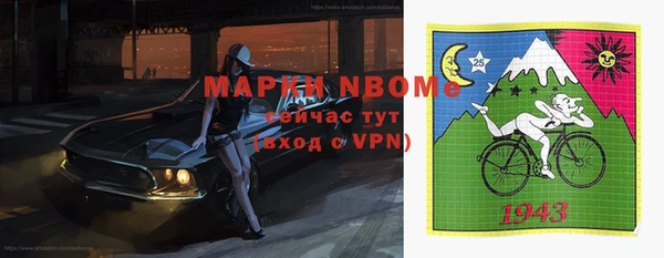 дурь Ельня