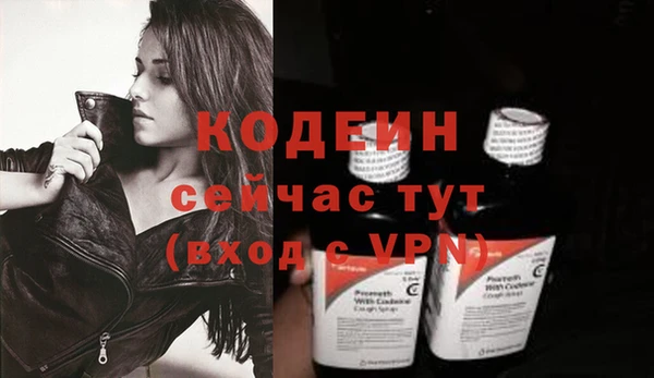 индика Балахна