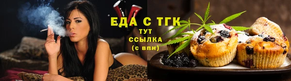 индика Балахна