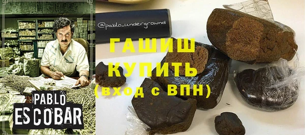 индика Балахна