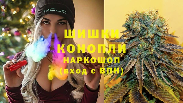 индика Балахна