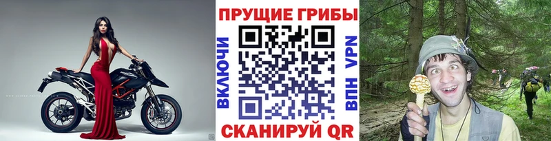 Галлюциногенные грибы Psilocybine cubensis  сколько стоит  Гороховец 